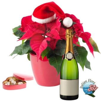 Stella di Natale con cioccolatini e prosecco